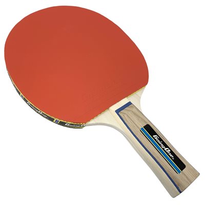 Intermediate Table Tennis Paddle