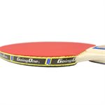 Raquette de tennis de table en bois pour intermédiaire