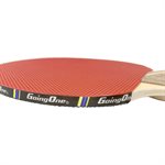 Table Tennis Paddle, for beginner